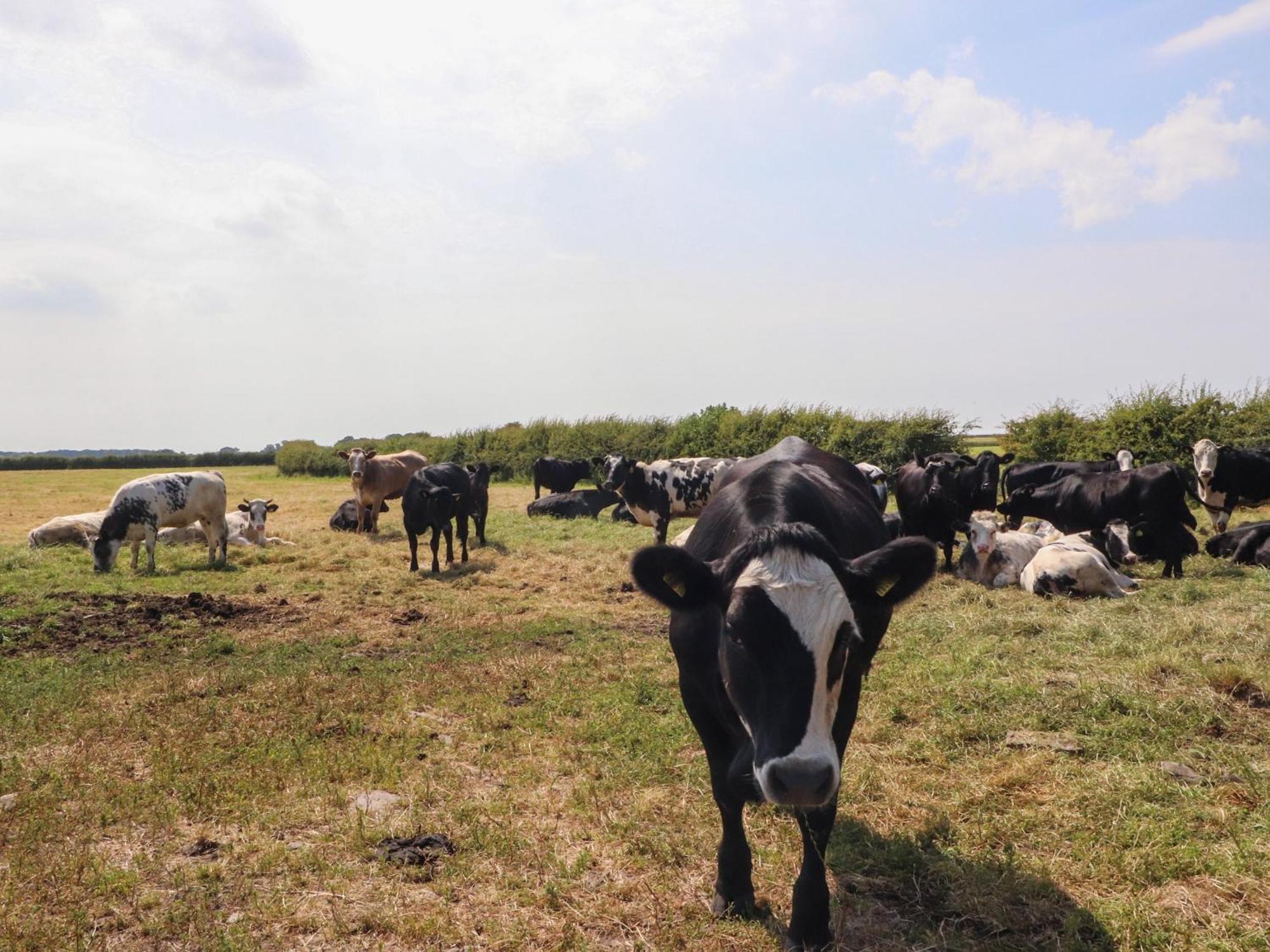Lapwing Lodge ランカスター エクステリア 写真