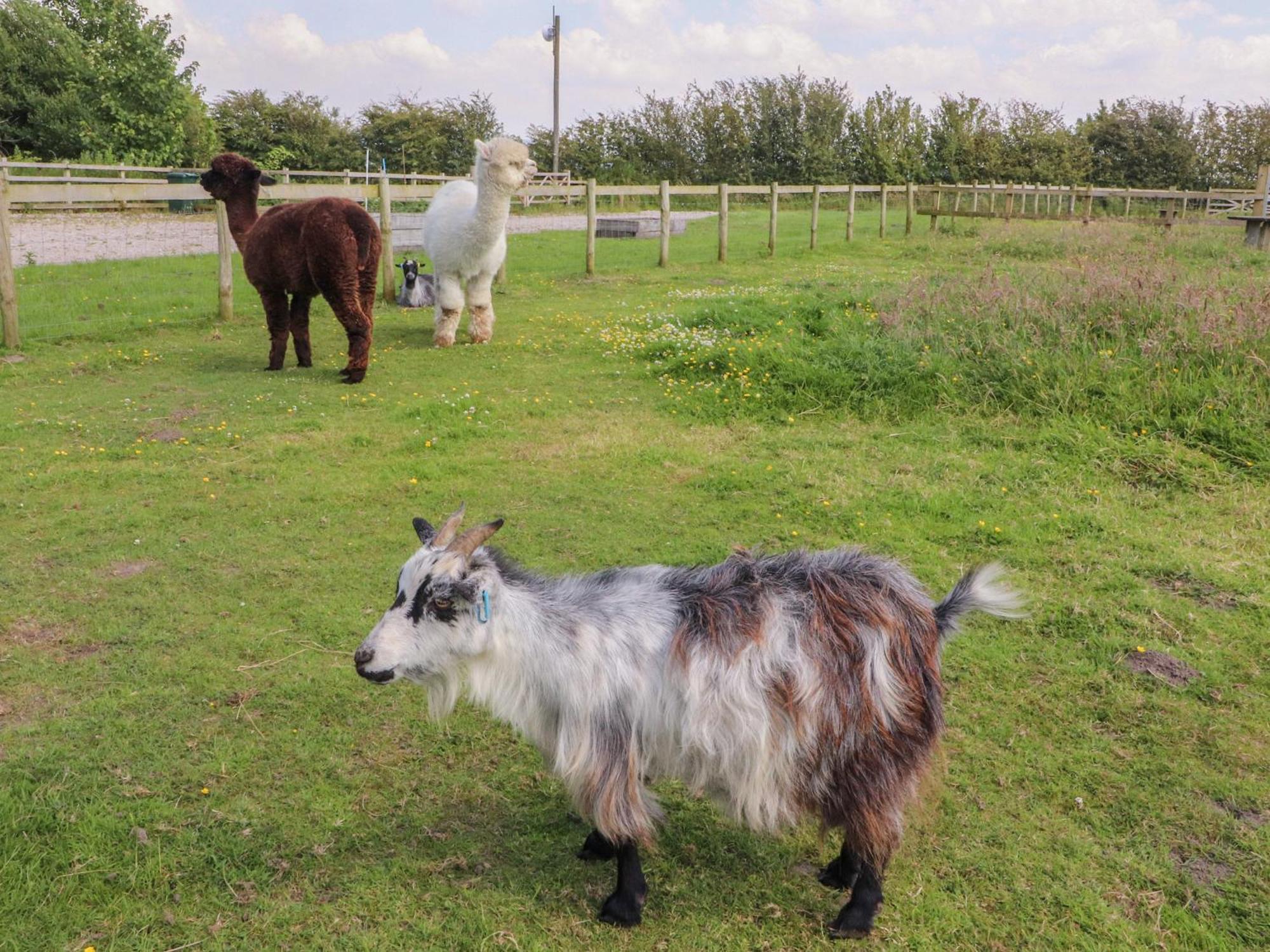Lapwing Lodge ランカスター エクステリア 写真