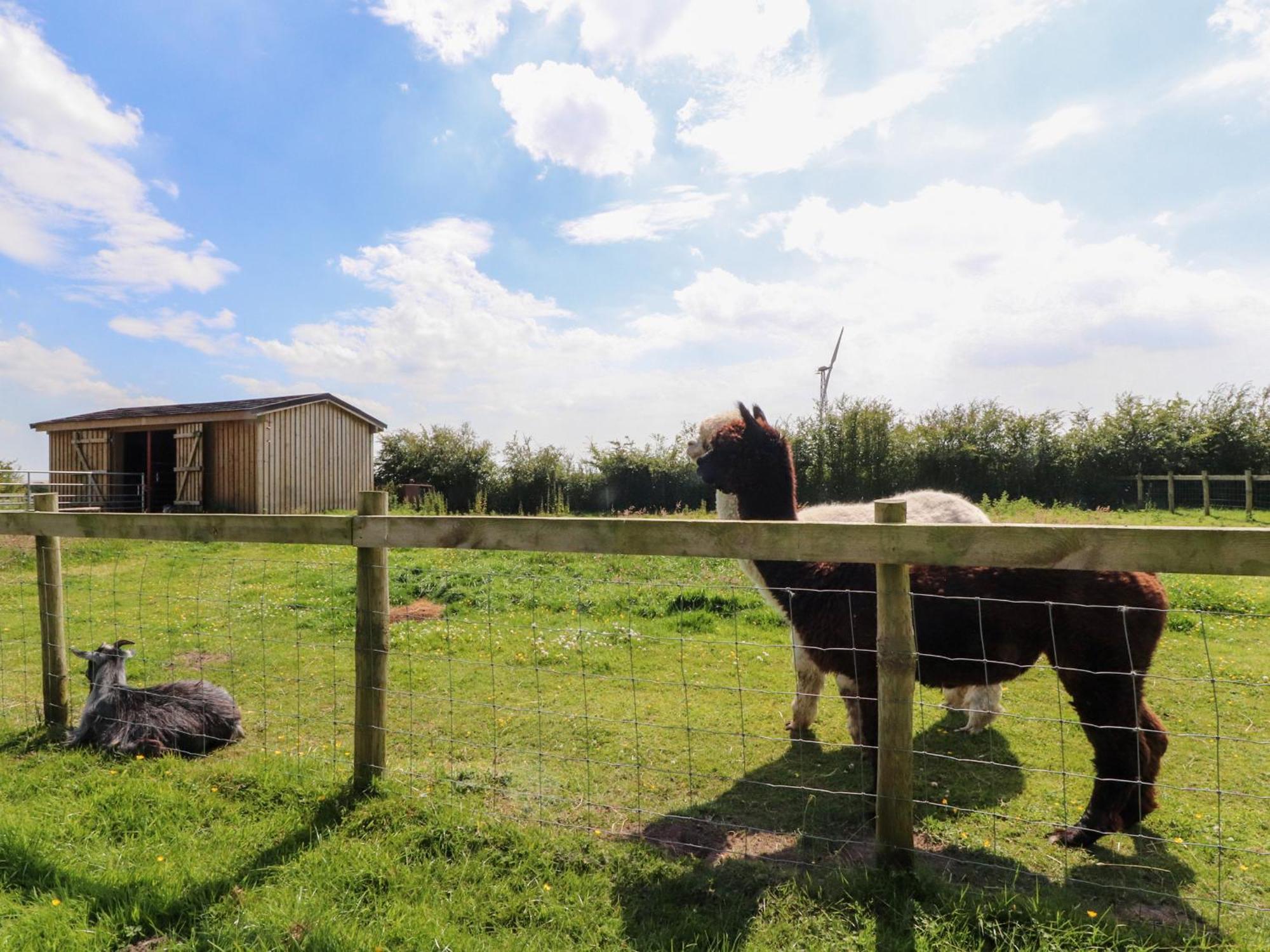 Lapwing Lodge ランカスター エクステリア 写真